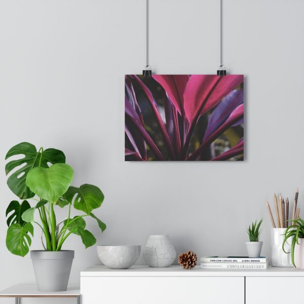 Leaves Of Passion - Image 5