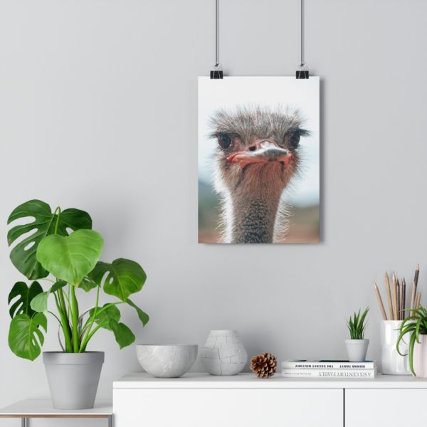 Cheeky Oudtshoorn Ostrich - Image 5