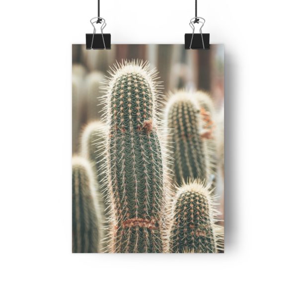 Cactus Fields in Oudtshoorn - Image 4