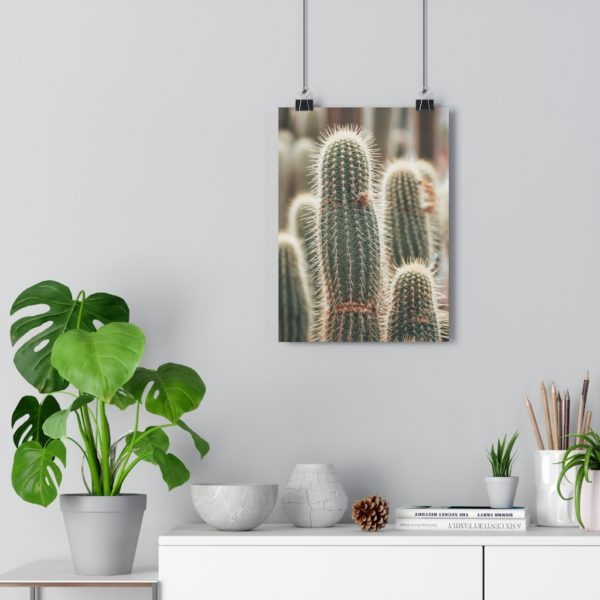Cactus Fields in Oudtshoorn - Image 5