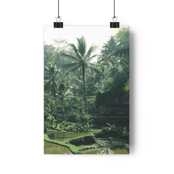 Bali Life - Image 4