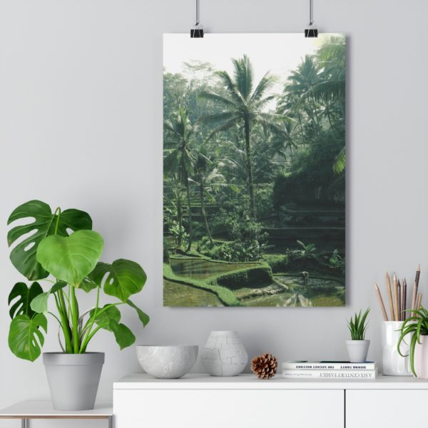 Bali Life - Image 5