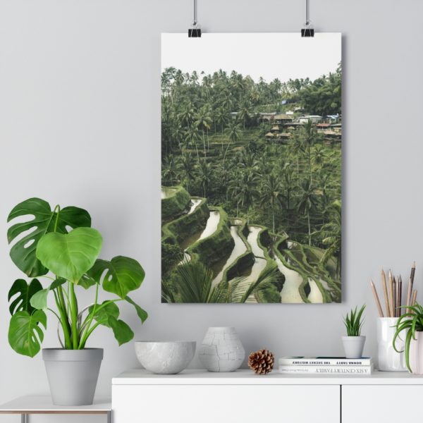 Rice Padi Fields - Image 3