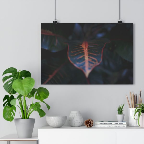 Tropical Textures - Image 3