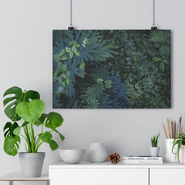 Lush Bali - Image 3