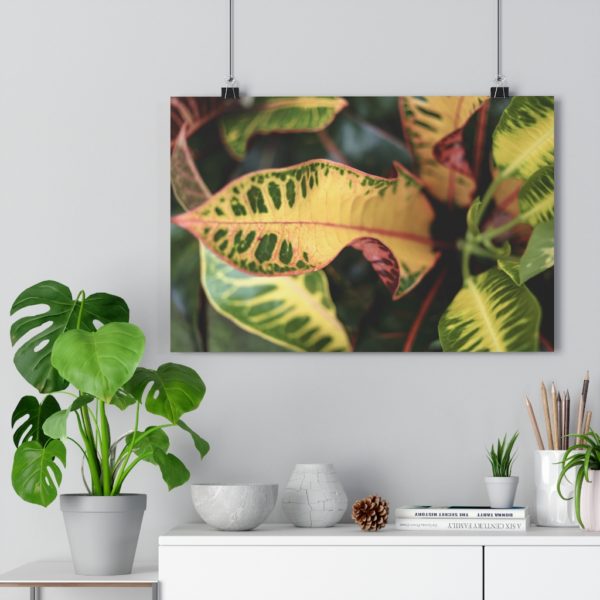 Bali Botanicals - Image 3