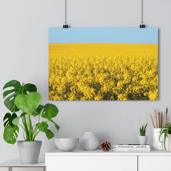 Arniston Fields Of Gold - Image 3