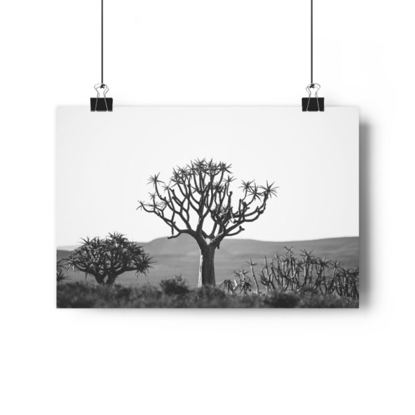 The Surveyor - Image 3