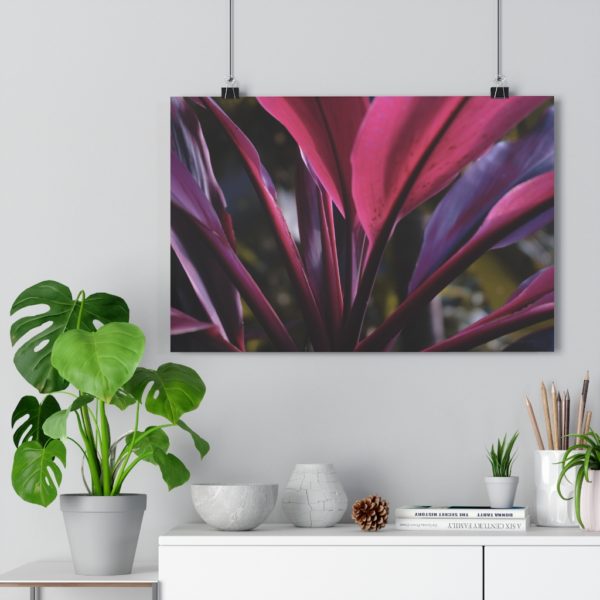 Leaves Of Passion - Image 3