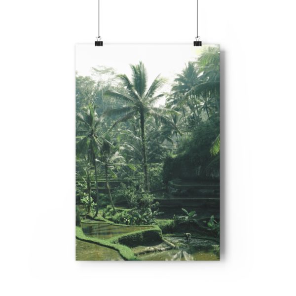 Bali Life - Image 6