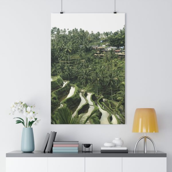 Rice Padi Fields - Image 7