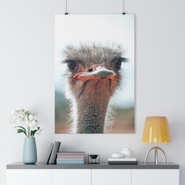 Cheeky Oudtshoorn Ostrich - Image 7