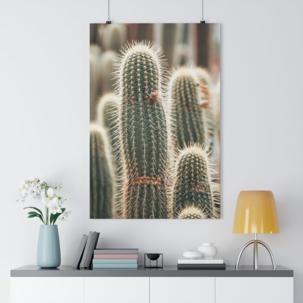 Cactus Fields in Oudtshoorn - Image 7