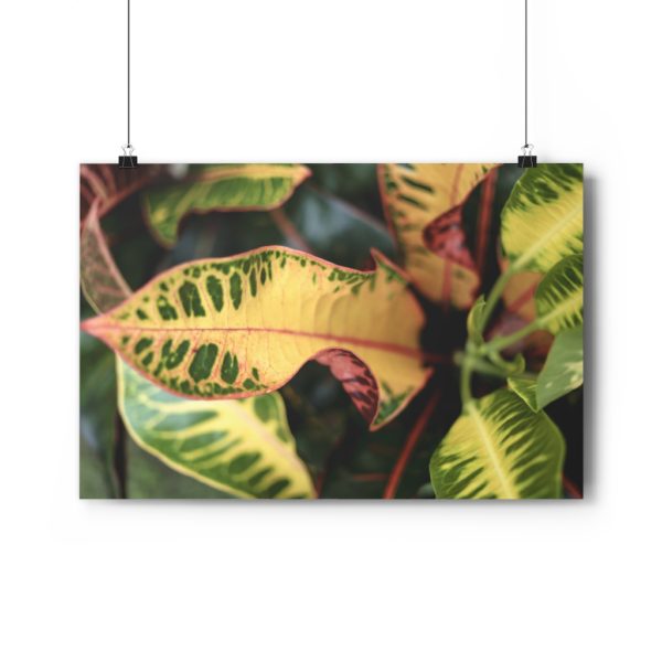 Bali Botanicals - Image 6