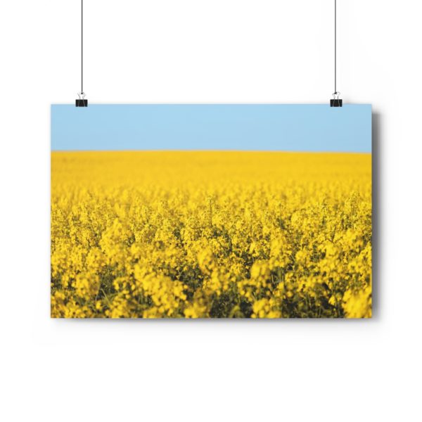 Arniston Fields Of Gold - Image 6