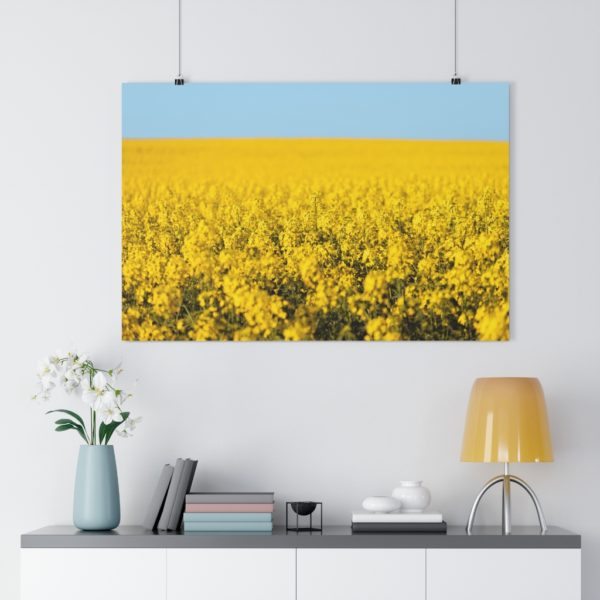 Arniston Fields Of Gold - Image 7