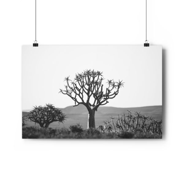 The Surveyor - Image 7