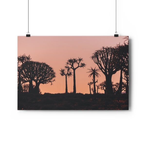 Last Light In The Quiver Tree Forest - Image 6