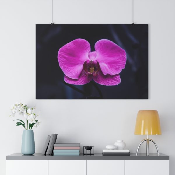 Isolated Orchid - Image 7