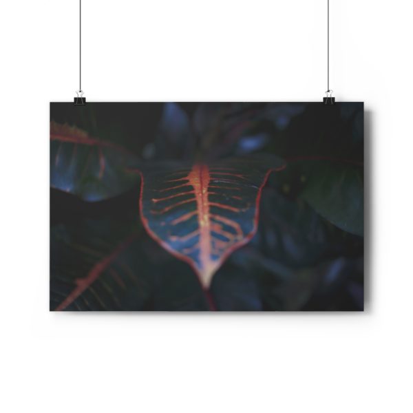 Tropical Textures - Image 6