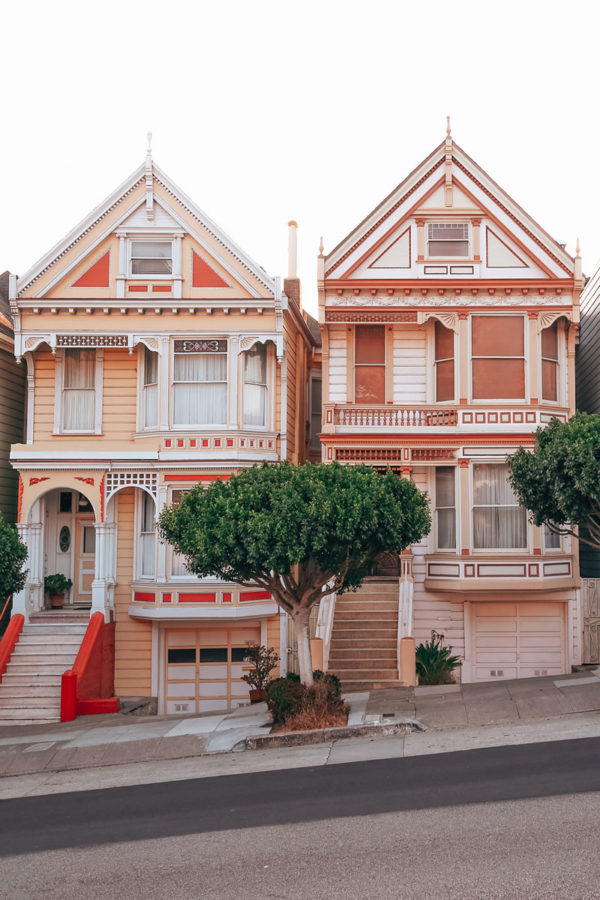 Two Painted Ladies - Image 2
