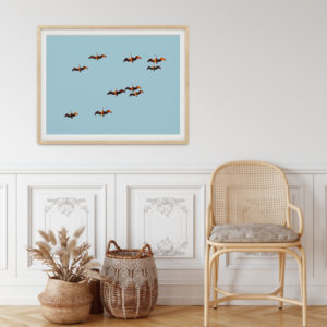 Pelicans Of The Bay