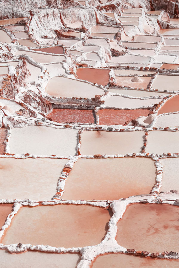Salt Palettes - Image 2