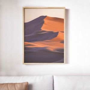 The Dunes Of Paracas