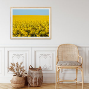 Arniston Fields Of Gold