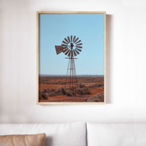 Windmills Of Northern Cape