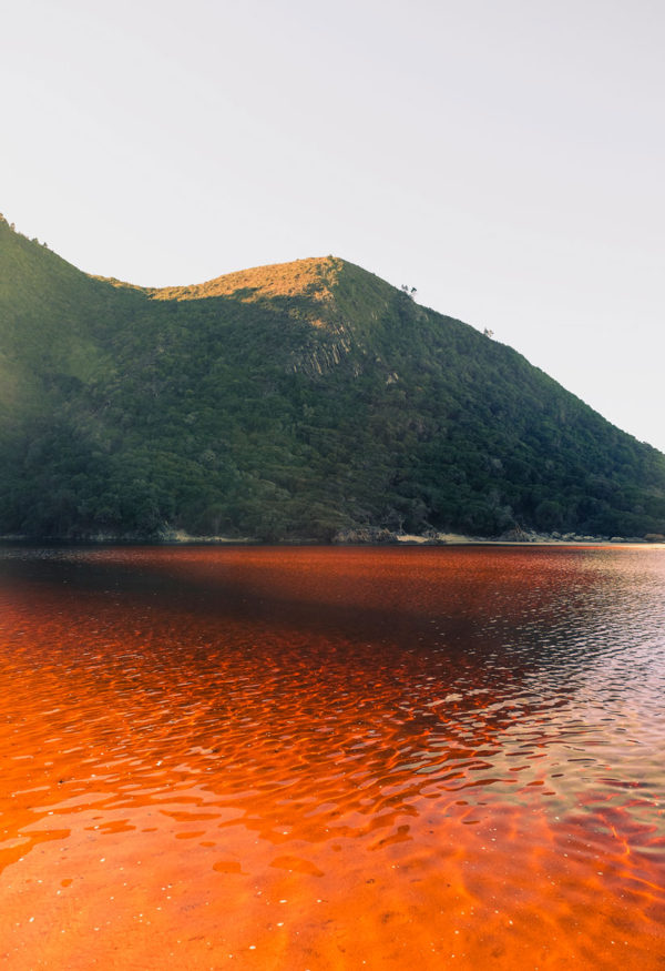 Red Tide At Tsitsikamma - Image 2