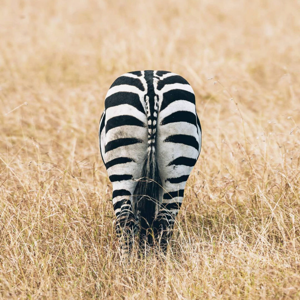 Instagram Accounts To Inspire You In 2021 | How Far From Home