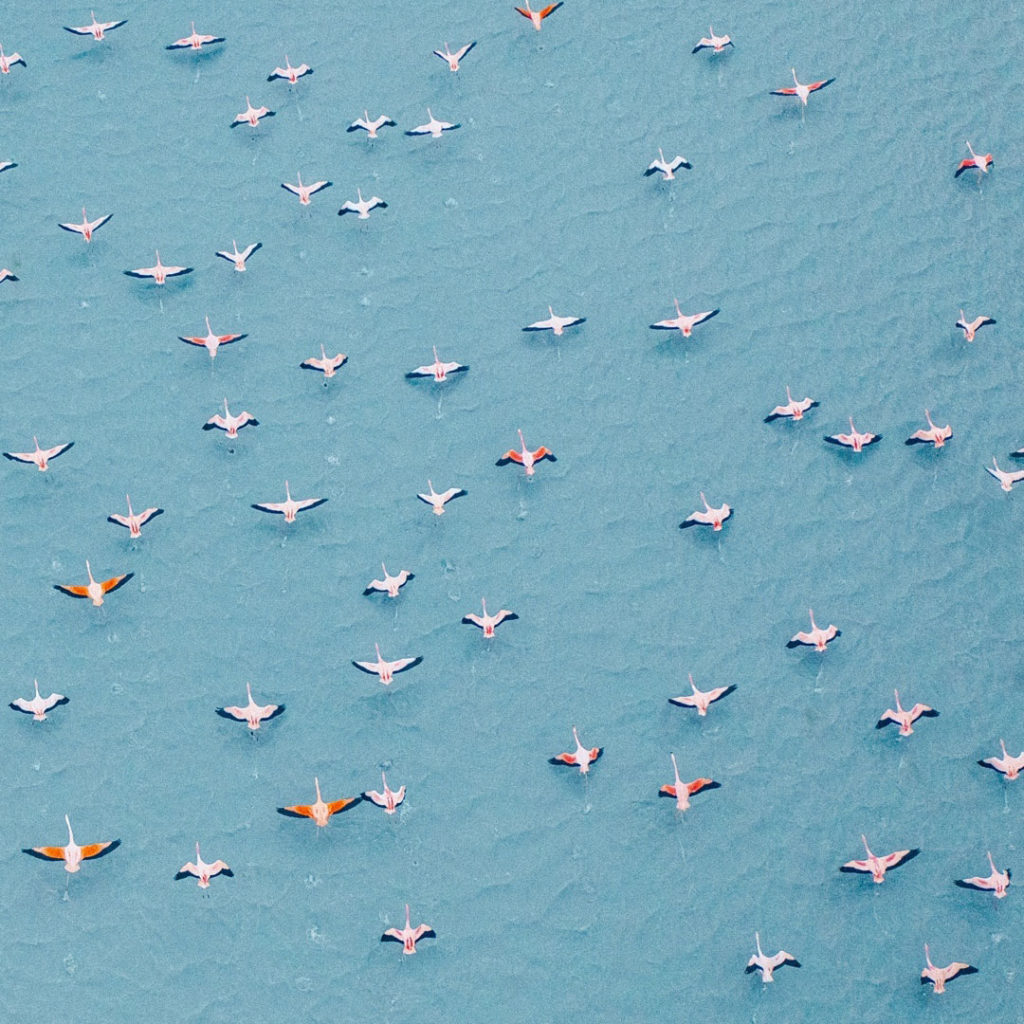 Instagram Accounts To Inspire You In 2021 | How Far From Home