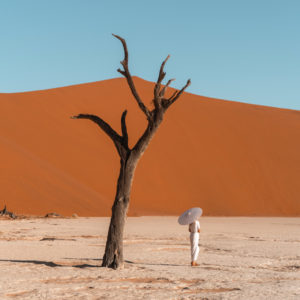 HFFH Desert Elopement Collection - Lightroom Presets (Laptop + Mobile)