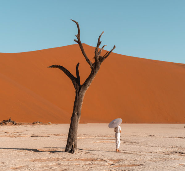 HFFH Desert Elopement Collection - Lightroom Presets (Laptop + Mobile)