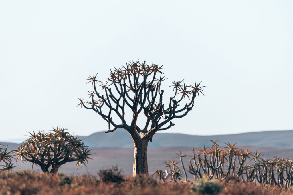 Travel & Lifestyle Photography | How Far From Home