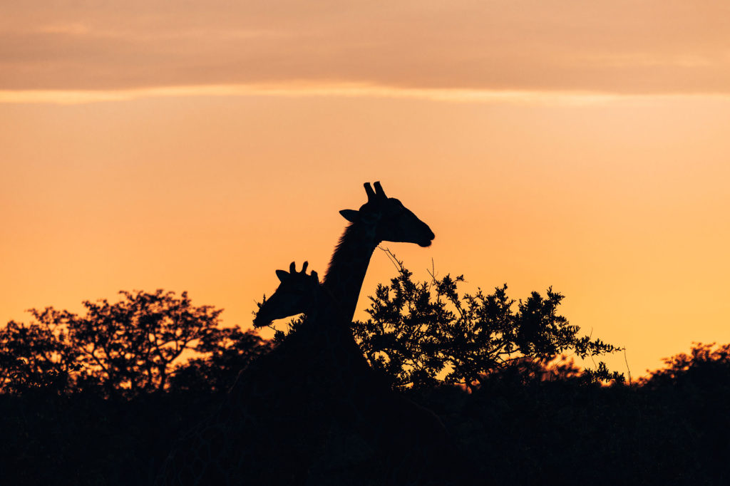 Travel & Lifestyle Photography | How Far From Home