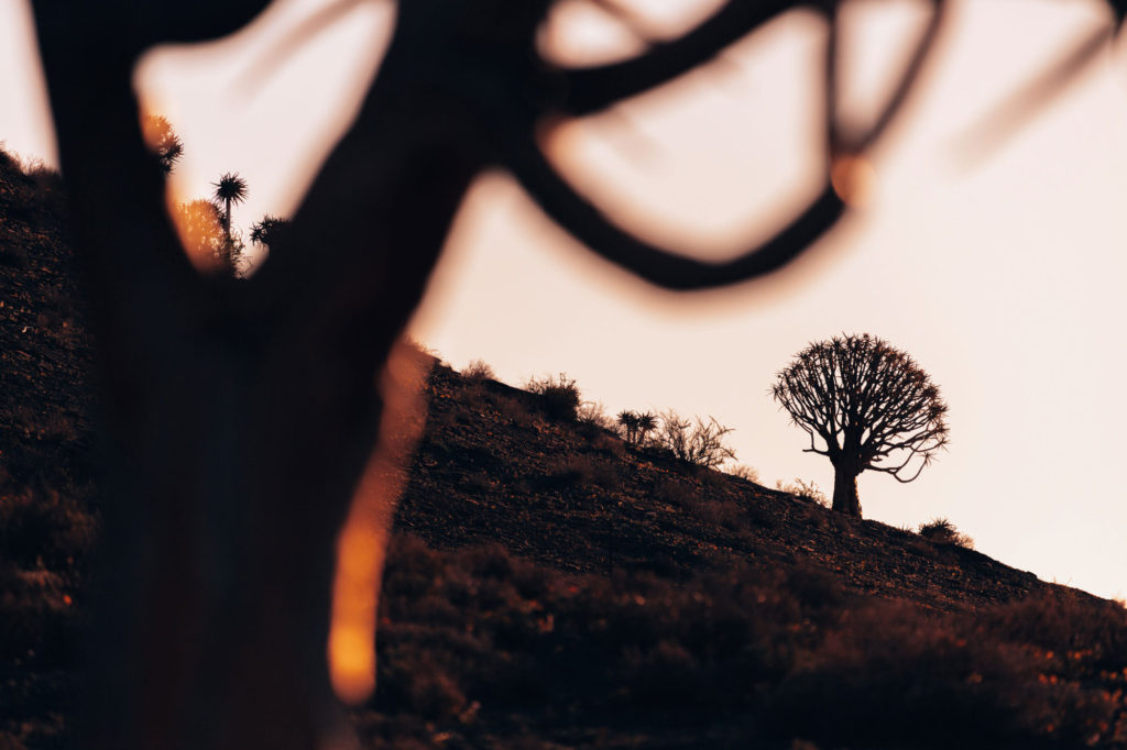 Travel & Lifestyle Photography | How Far From Home