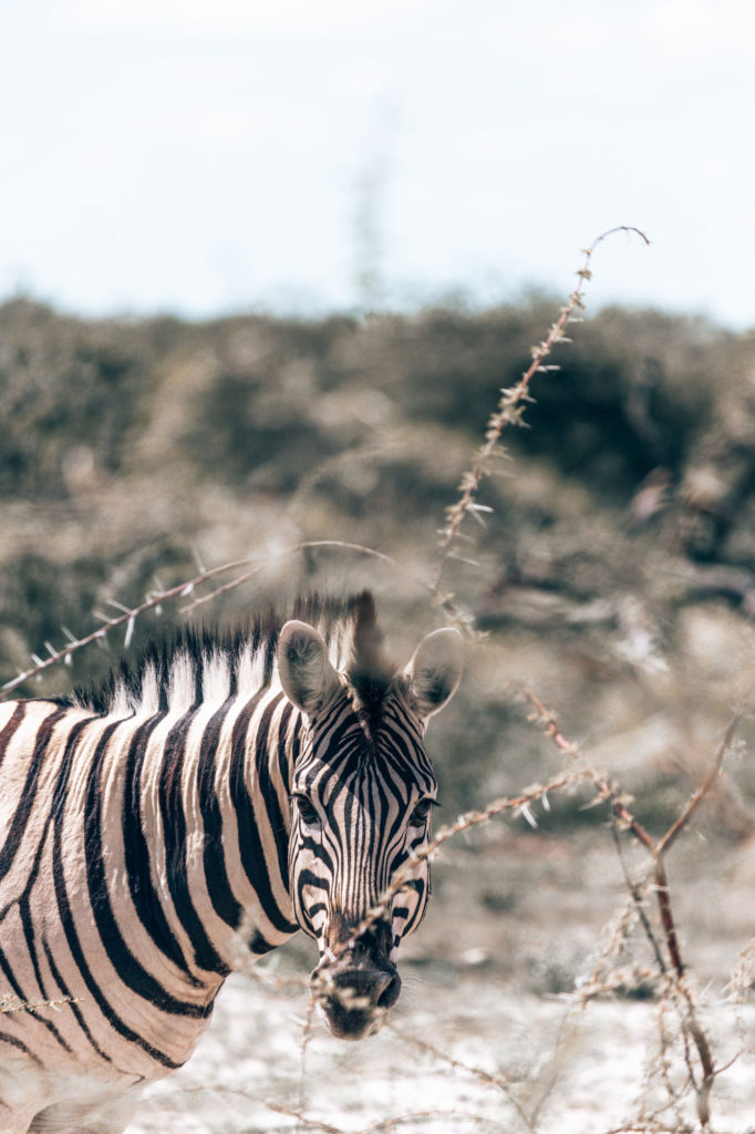 Travel & Lifestyle Photography | How Far From Home