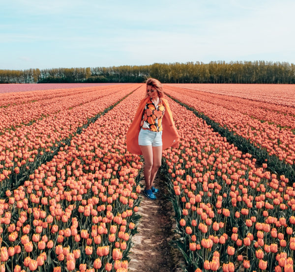 HFFH Wanderlust Collection - Lightroom Presets (Laptop + Mobile) - Image 5