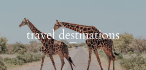 Travel Destinations