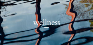 Wellness