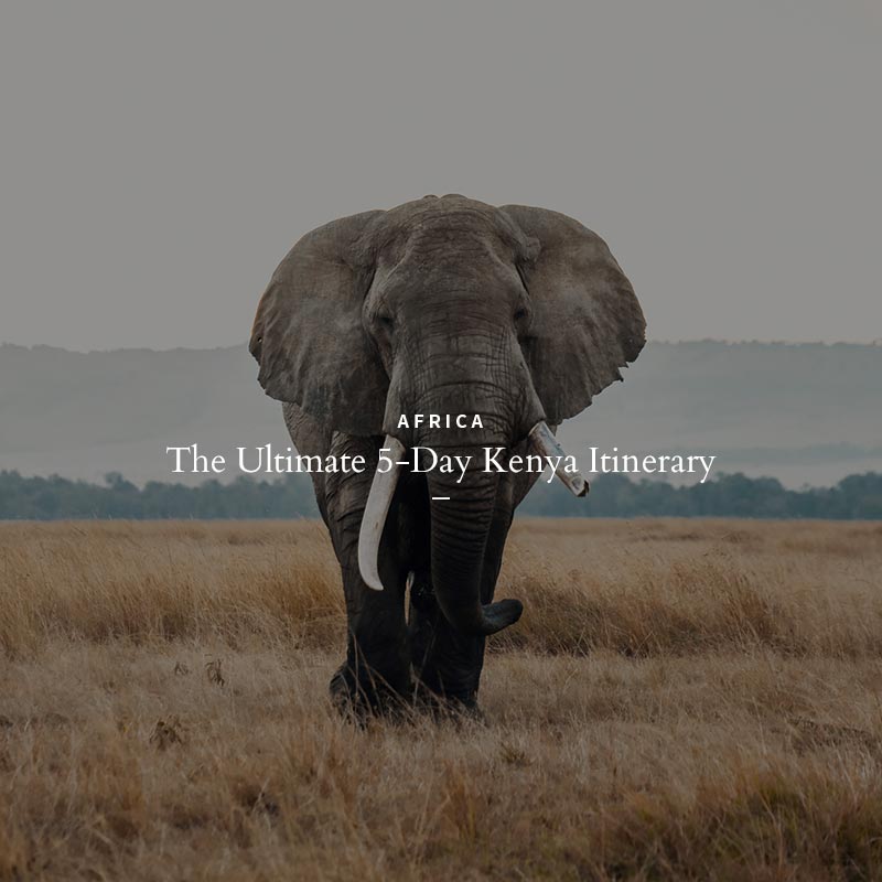 travel blog