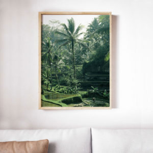 Bali Life