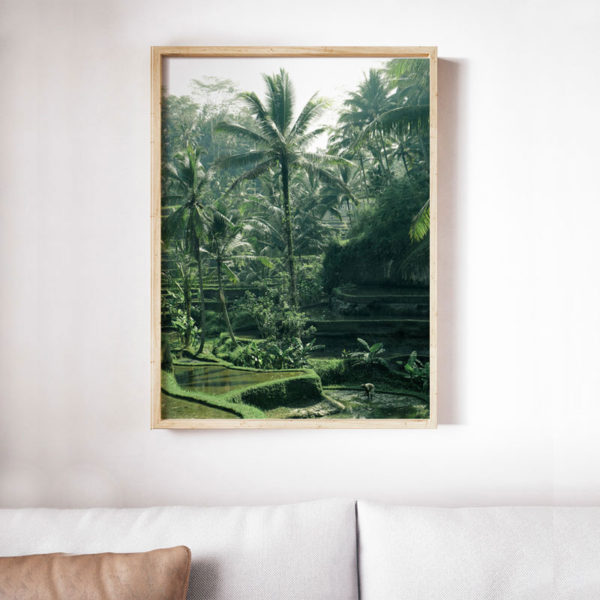 Bali Life