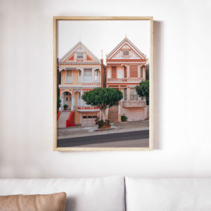 Two Painted Ladies