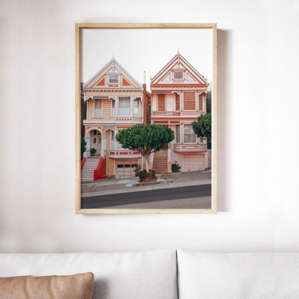 Two Painted Ladies