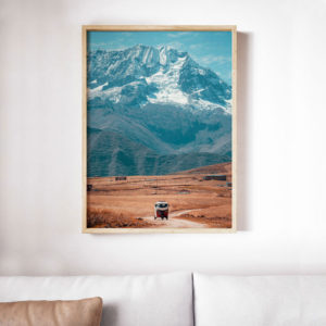 Journey To The Andes