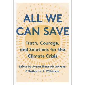All-We-Can-Save Book