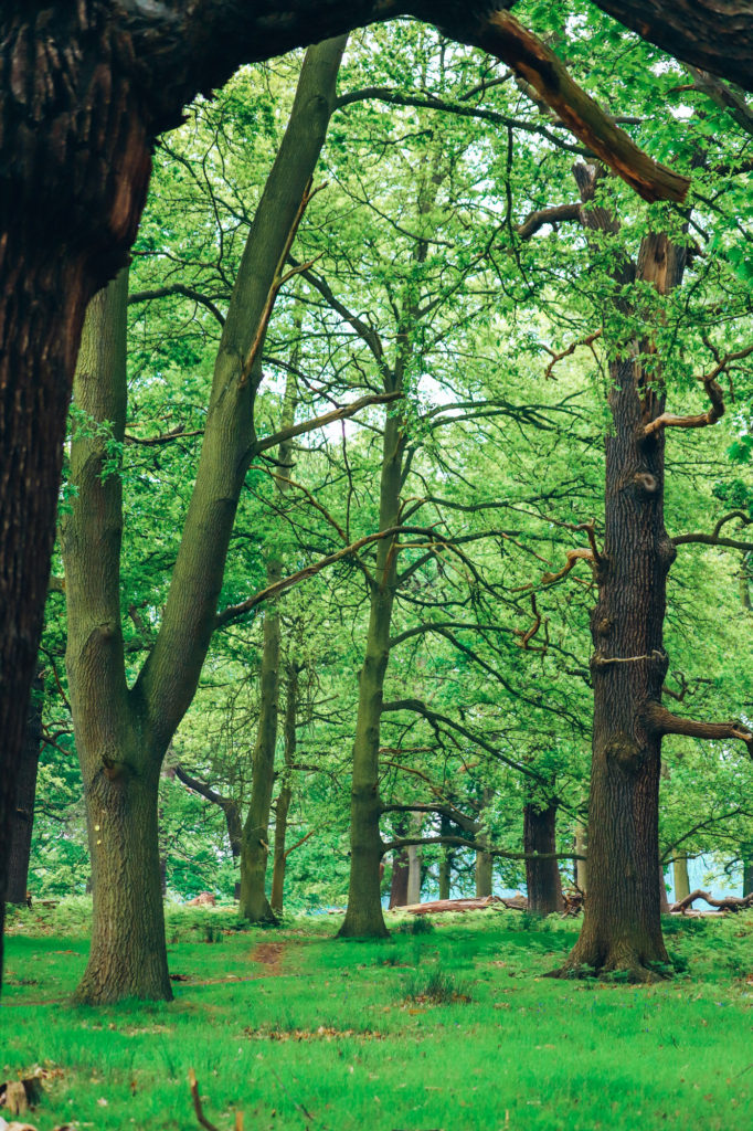 Family-friendly London Activities | How Far From Home